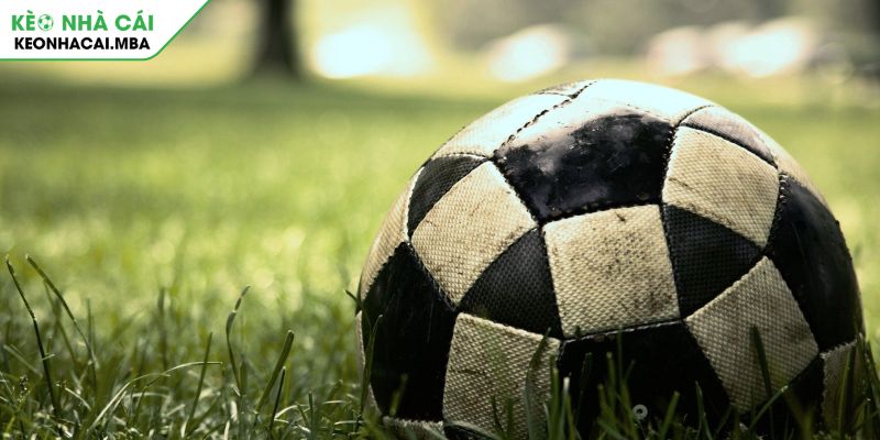 Khám phá kèo cơ hội kép là gì?