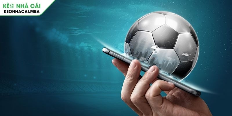 Khám phá bản chất của kèo giữ sạch lưới