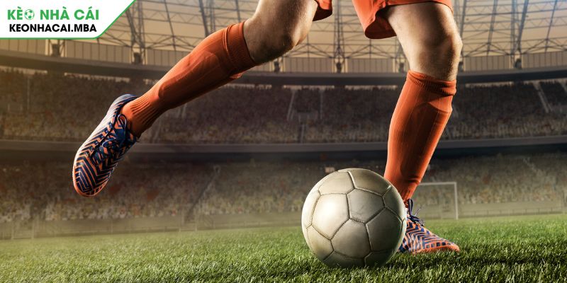 Giải mã sức hút của kèo Moneyline