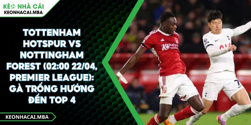 Tottenham Hotspur Vs Nottingham Forest (02:00 22/04, Premier League): Gà Trống Hướng Đến Top 4