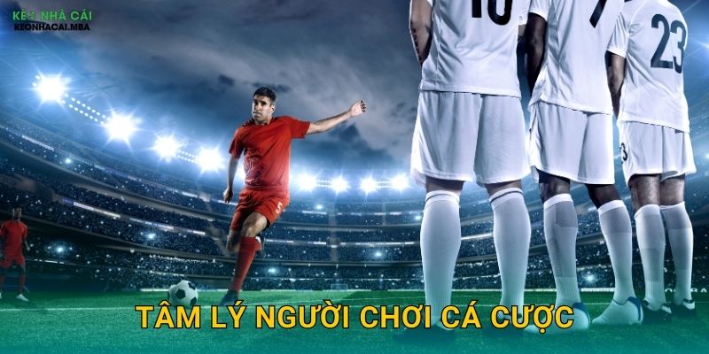 Tâm Lý Người Chơi Cá Cược – Yếu Tố Quyết Định Kết Quả Tại Keonhacai