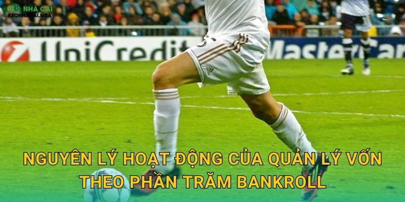 Nguyên lý hoạt động của quản lý vốn theo phần trăm bankroll