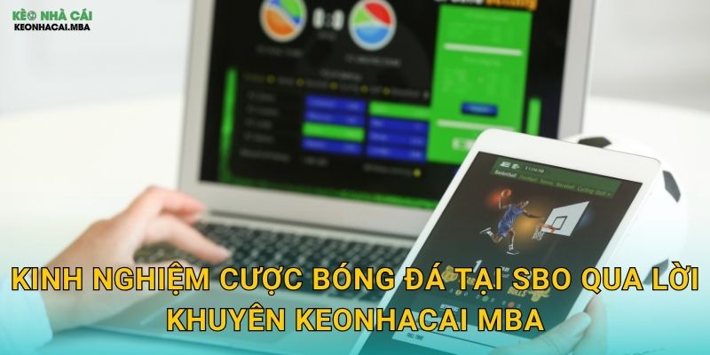 Kinh nghiệm cược bóng đá tại SBO qua lời khuyên Keonhacai mba