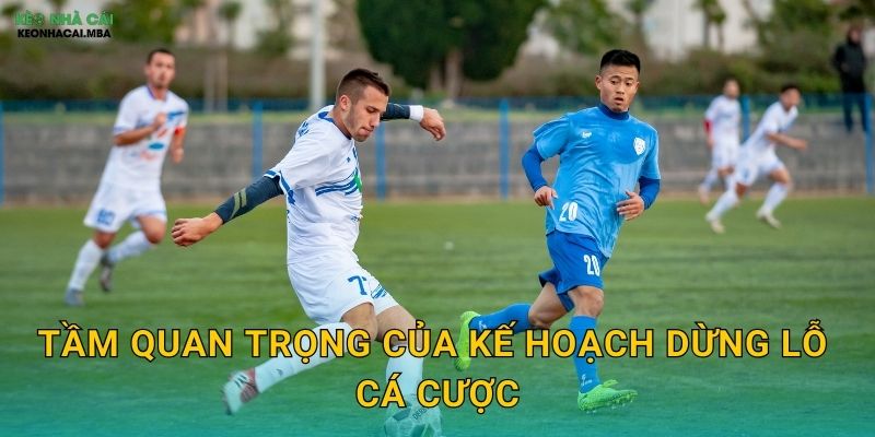 Tầm quan trọng của kế hoạch dừng lỗ cá cược