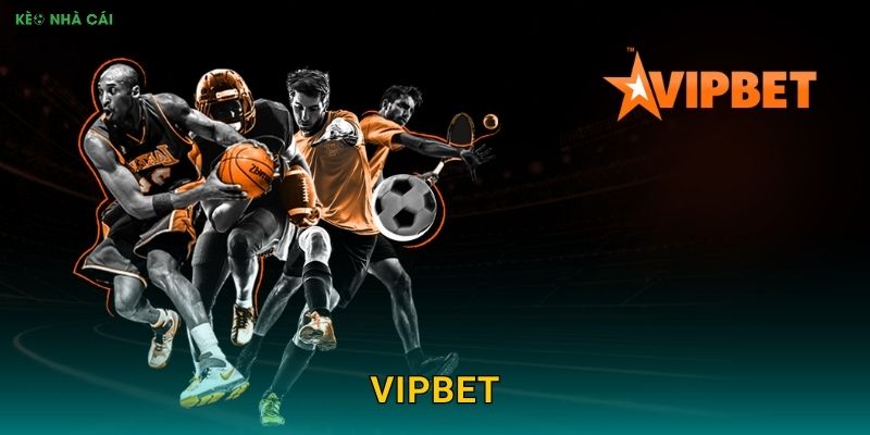 VipBet – Đẳng Cấp VIP Cho Bet Thủ Chuyên Nghiệp Theo Kèo nhà cái MBA
