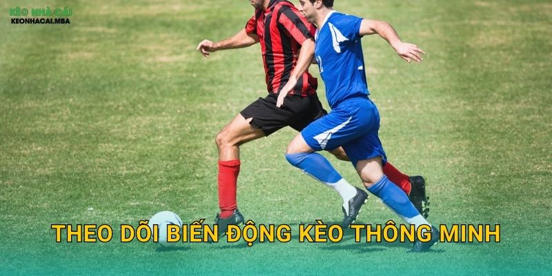 Theo Dõi Biến Động Kèo Thông Minh – Đọc Vị Ý Định Nhà Cái Tại Kèo Nhà Cái MBA