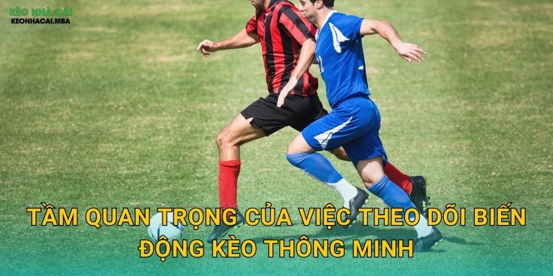 Tầm quan trọng của việc theo dõi biến động kèo thông minh
