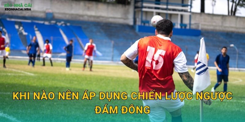 Khi nào nên áp dụng chiến lược ngược đám đông