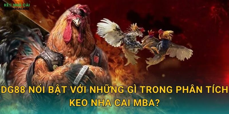 DG88 nổi bật với những gì trong phân tích Keo nha cai MBA?
