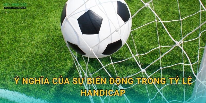 Ý nghĩa của sự biến động trong tỷ lệ handicap