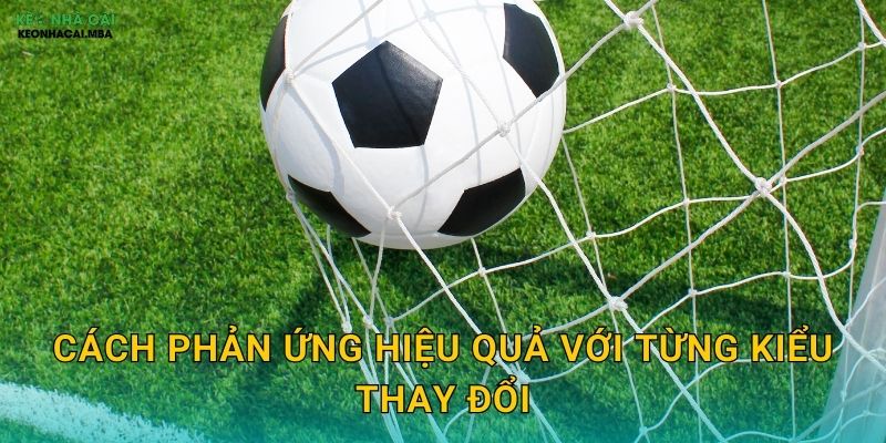 Cách phản ứng hiệu quả với từng kiểu thay đổi