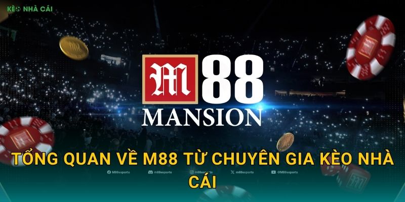 Tổng Quan Về M88 Từ Chuyên Gia Kèo Nhà Cái