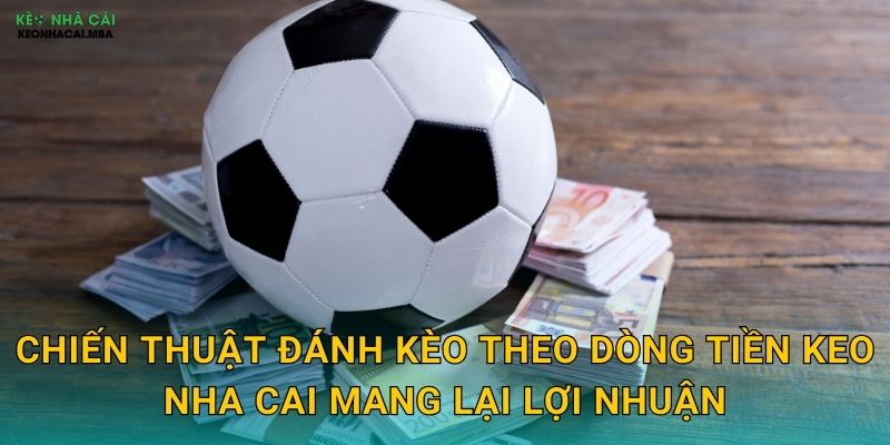 Chiến thuật đánh kèo theo dòng tiền keo nha cai mang lại lợi nhuận