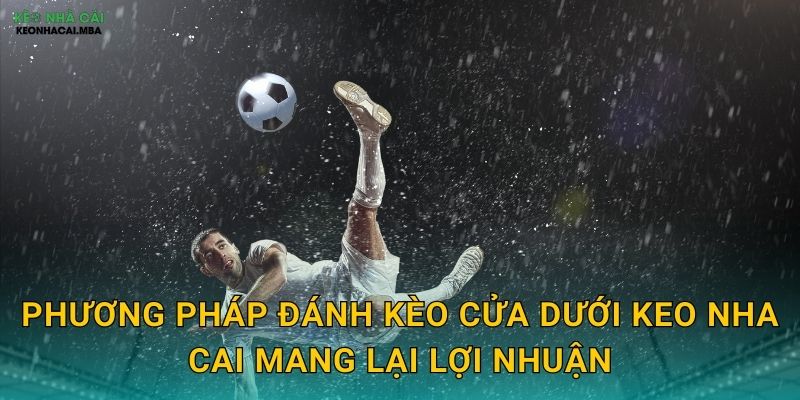 Phương pháp đánh kèo cửa dưới keo nha cai mang lại lợi nhuận