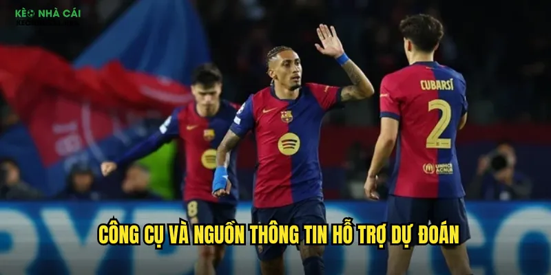 Công cụ và nguồn thông tin hỗ trợ dự đoán