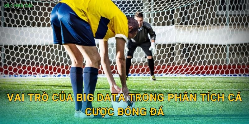 Vai trò của big data trong phân tích cá cược bóng đá