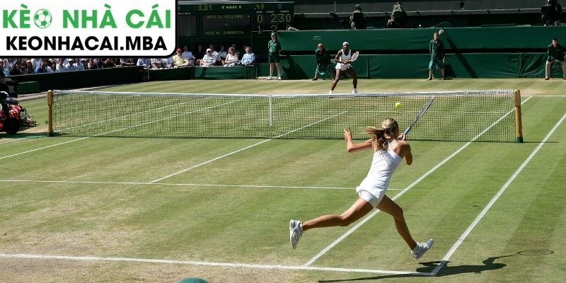 Cược chấp với tỷ lệ hấp dẫn