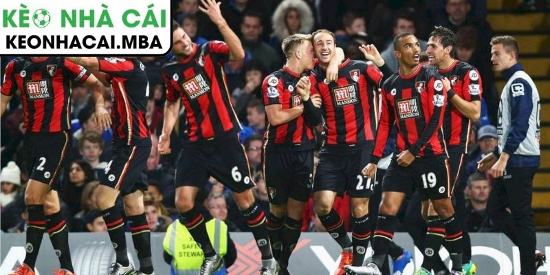 Phong độ AFC Bournemouth
