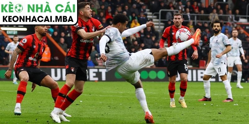 Thông tin lực lượng trận AFC Bournemouth vs Liverpool (00:30 25/01, Ngoại hạng Anh)