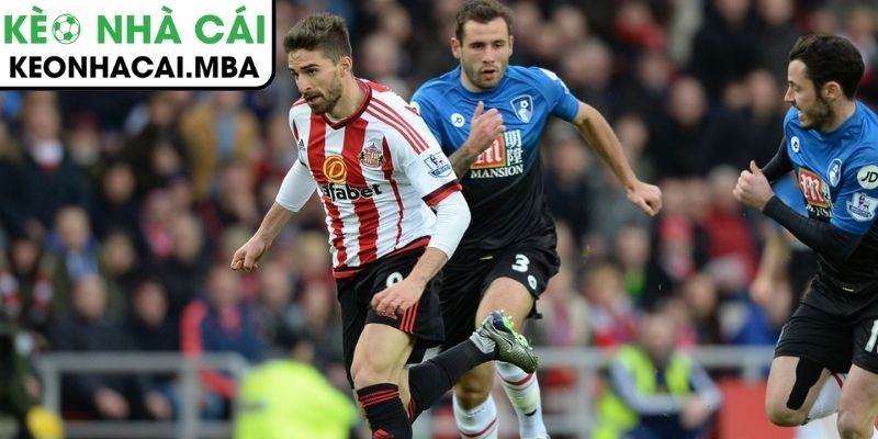 Dự đoán kết quả trận AFC Bournemouth vs Sunderland (19:30 28/02, Ngoại hạng Anh)