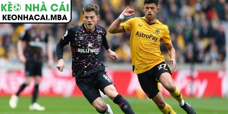 Thông tin lực lượng trận Brentford vs Wolverhampton Wanderers (03:00 17/03)