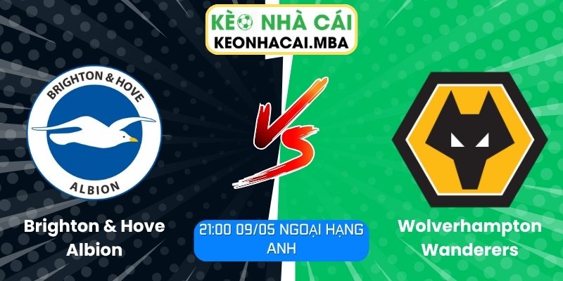 Brighton & Hove Albion vs Wolverhampton Wanderers